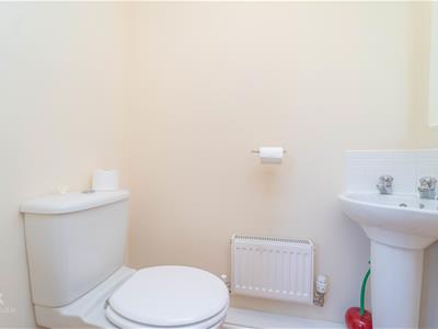 Picture 23